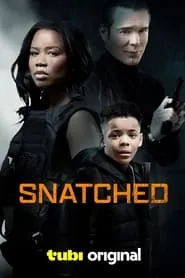 Snatched HD Movie